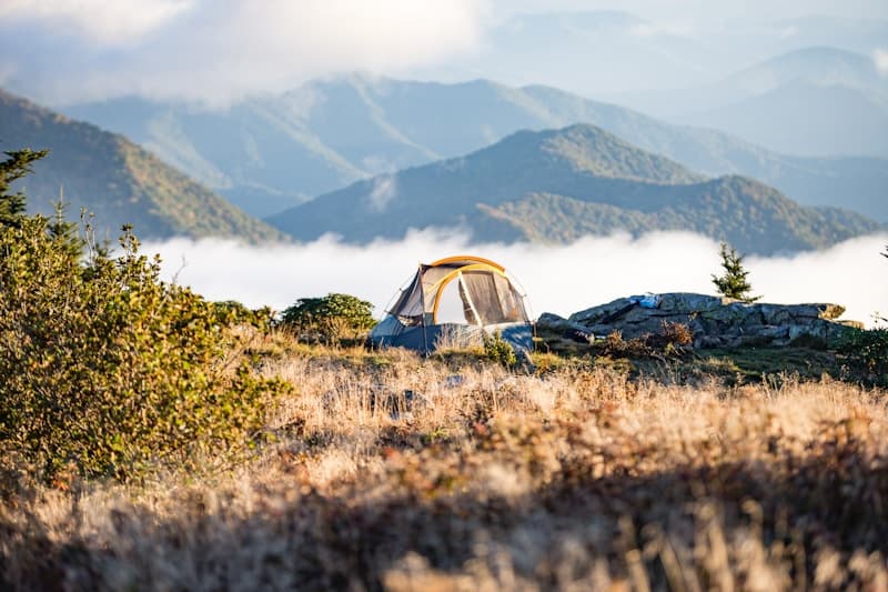 Forest Camping - Dzuleke & Khonoma