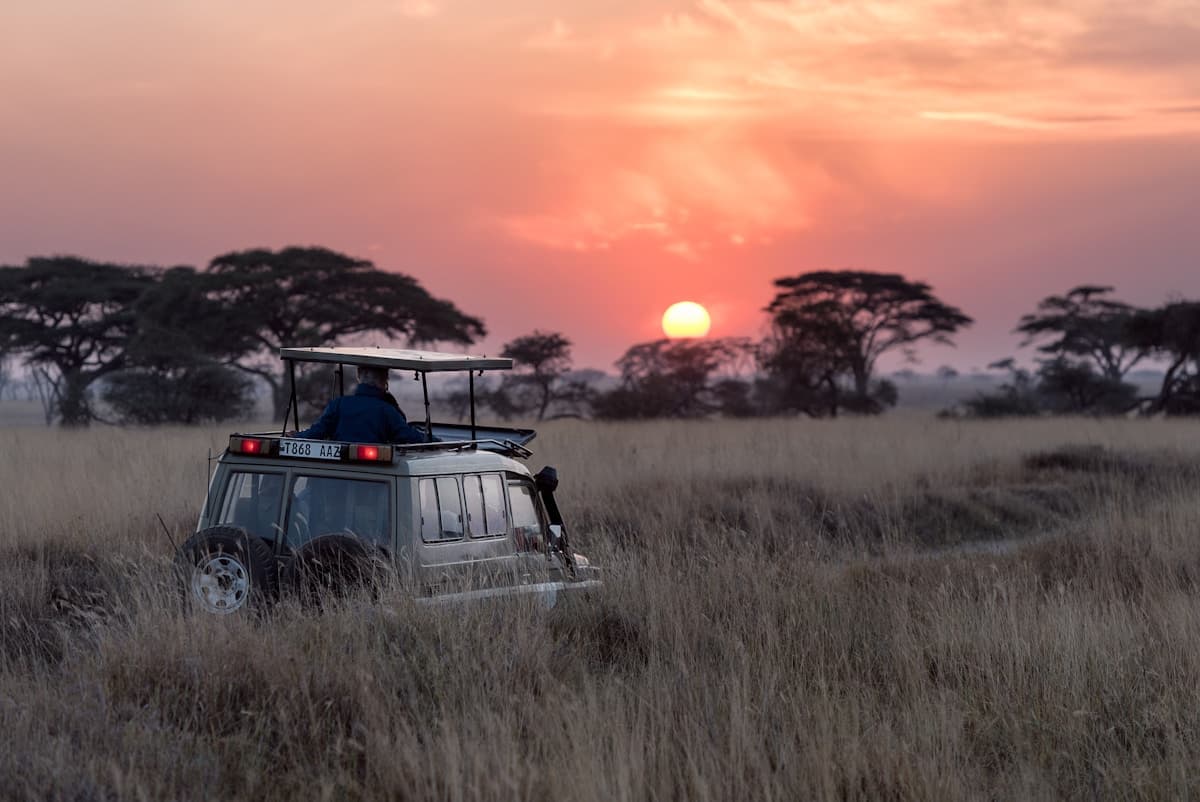Wildlife Safaris